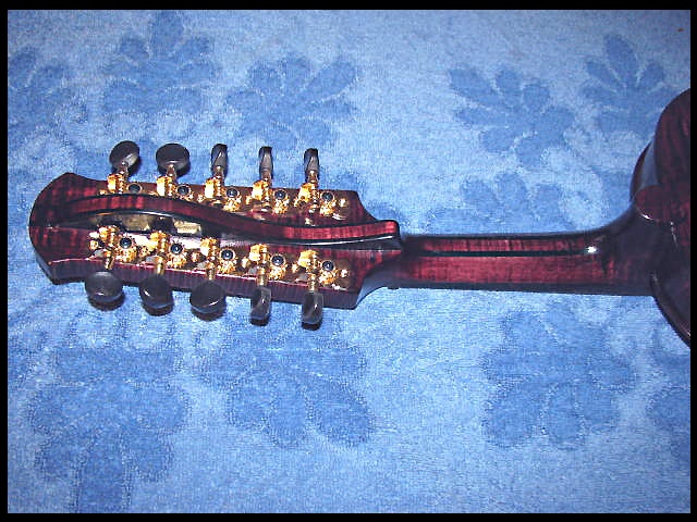 violin tuning pegs. mandolin tuning machines.